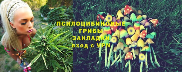 гидропоника Нязепетровск