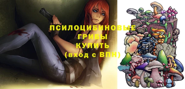 герыч Няндома